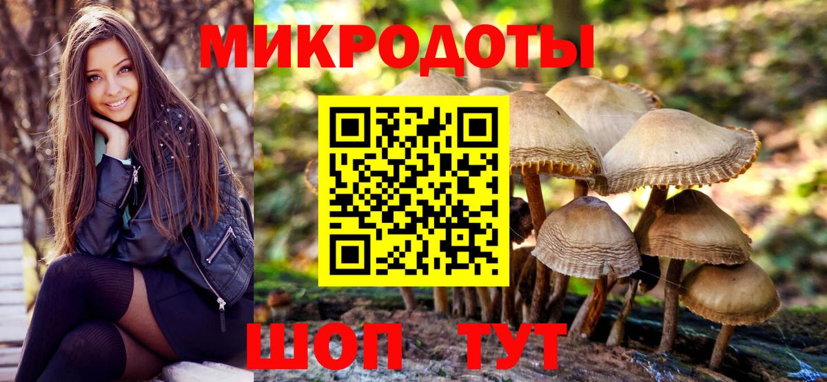 Нальчик  Псилоцибиновые грибы мицелий  Вход с VPN  хочу   Галлюциногенные грибы мухоморы 