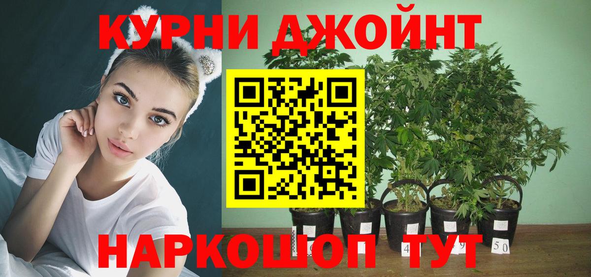 Конопля LSD WEED Нальчик